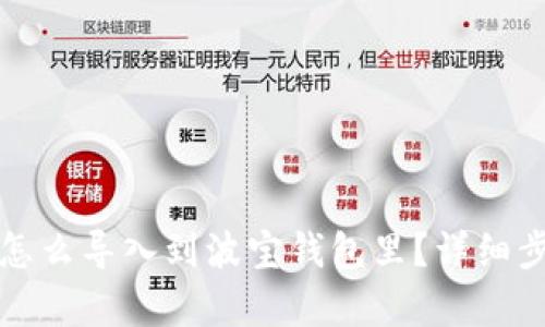 TP钱包怎么导入到波宝钱包里？详细步骤解析