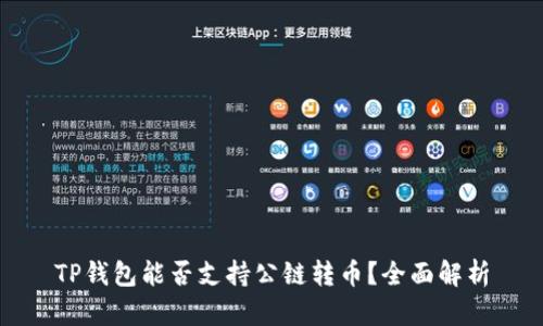 TP钱包能否支持公链转币？全面解析