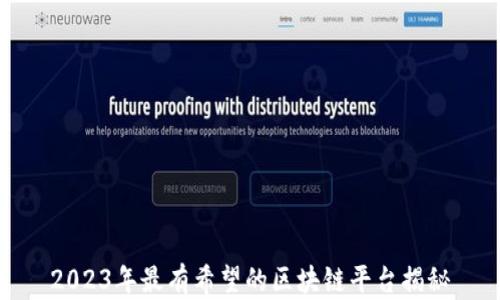 
2023年最有希望的区块链平台揭秘