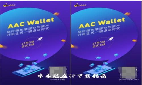 中本聪在TP下载指南